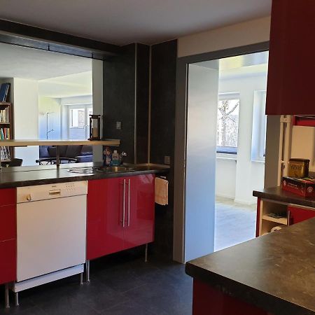 Kurpark-Suite Schonach im Schwarzwald Exteriör bild